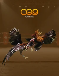 Ayam