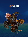 Ayam